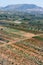 View over the olive and grape crops in Greece