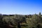 View over olive trees grove in rural french landscape against blue sky - Provence, France