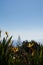 View over a paradise bird flowers and plants