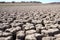 View over parched and empty dam, with cracked mud