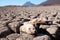 View over parched and empty dam, with dead fish