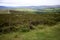 View over Porlock hill,Exmoor