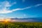 View over rapeseed field with yellow blooms on sunset and storm cloud