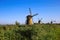 View over reed grass on typical old dutch windmills against deep blue cloudless summer sky - Kinderdijk, Netherlands