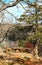 View over river and bluffs in early springtime with circular rock bench and resting place