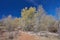 View over river flowing through a sparse valley with bare birch trees and scattered coniferous trees on the surrounding hills on