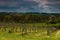 View over the rolling hills in South Limburg with a typical view on the tower of the local church of the village of Noorbeek in th