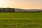 View over the Ruhraue between Essen-Kettwig and Mintard to the Ruhrtalbridge in the evening sun