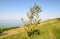 View over the sea from the gentle cliff slopes leading to the beach