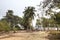 View over Sundarbans national park in Bangladesh