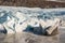 View over Svinafellsjokull glacier in Vatnajokull national park in Iceland