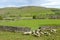 View over Swaledale from path above Reeth in Yorkshire Dales