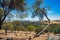 View over the town of Toodyay (Western Australia) and the surrounding hill country