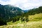 View over traditional alp in the Val Lavizzara near Fusio