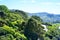 View over valley and green slopes covered with bush with a glimpse of mountain road in Wellington, New Zealand.