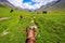 View over valley from the horse back, Kyrgyzstan