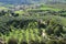 View over the village with olive-trees and cypress from the top of the village Orvieto in Italy in the summer.