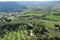 View over the village with olive-trees and cypress from the top of the village Orvieto in Italy in the summer.