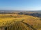 a view over a vineyard at Alsace France in autumn light