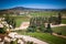 View over the vineyard, winery with white roses.