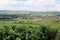 A View over Vineyards in the Champagne Region of France