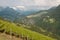 View over wine yards in Austria