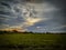 View of paddy field and cloudy sky near sunset.