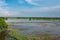 View of paddy field with soil preparation, planting rice.