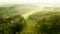 View of palm oil plantation and rice field