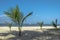 View of palm trees on beach, and boats on water, on the island of Mussulo, Luanda, Angola