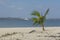 View of palm trees on beach, and boats on water, on the island of Mussulo, Luanda, Angola