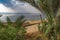 View between the palm trees and bushes, on the beach and the Dead Sea from the side of Jordan The sky is dark and there is a thund