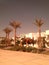 View of palm trees growing on the background of white square houses