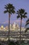 View through palm trees of Los Angeles skyline