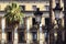 View of palm trees, street lamp and historical, traditional, old building