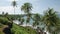 View of a Palm tress and rocky seashore of Arabian Sea