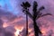 View of palmtrees during sunset at Bali island in Indonesia