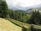 View of the Pania di Corfino mountain from the Orecchiella Nature Park in summer . Tuscany, Lucca, Italy