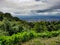 View panorama from hill forest jungle chiang mai Thailand