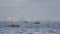 View of a panorama of St. Petersburg from the Gulf of Finland. Under construction Gazprom City tower on the center