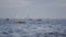 View of a panorama of St. Petersburg from the Gulf of Finland. Under construction Gazprom City tower on the center