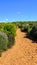 view and panoramas of the "camÃ¬ de cavalls" (path of horses) trekking trail of Menorca, Spain