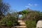 View of the park with beautiful plants. Marfa, Mellieha, Malta