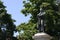 View on park with Dugonics Andras Statue in Szeged city, Hungary.