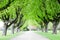 A view of a park road in a sunny spring day in Hull East park