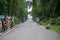 View of a park road with trees leading to Friedrichsfelde Palace