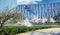 View on park with white cherry blossom trees in early spring, futuristic urban buildings, blue sky, fluffy clouds