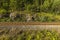 View of part of railway on summer day. Transportation concept background