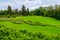 View of Parterre Amphitheatre in Sofiyivka park in Uman, Ukraine