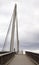 View of the Passerelle des Deux Rives Bridge over the Rhine River outside of Strasbourg